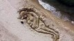 Giulia Tramontano e il bimbo mai nato, una scultura di sabbia li ricorda sulla spiaggia di Platamona