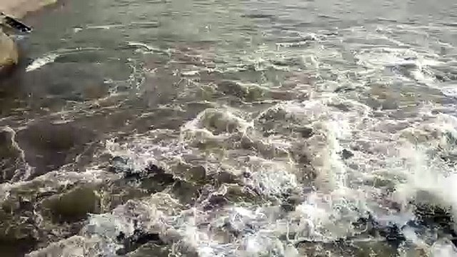 MLA took meeting of water supply department engineers regarding water