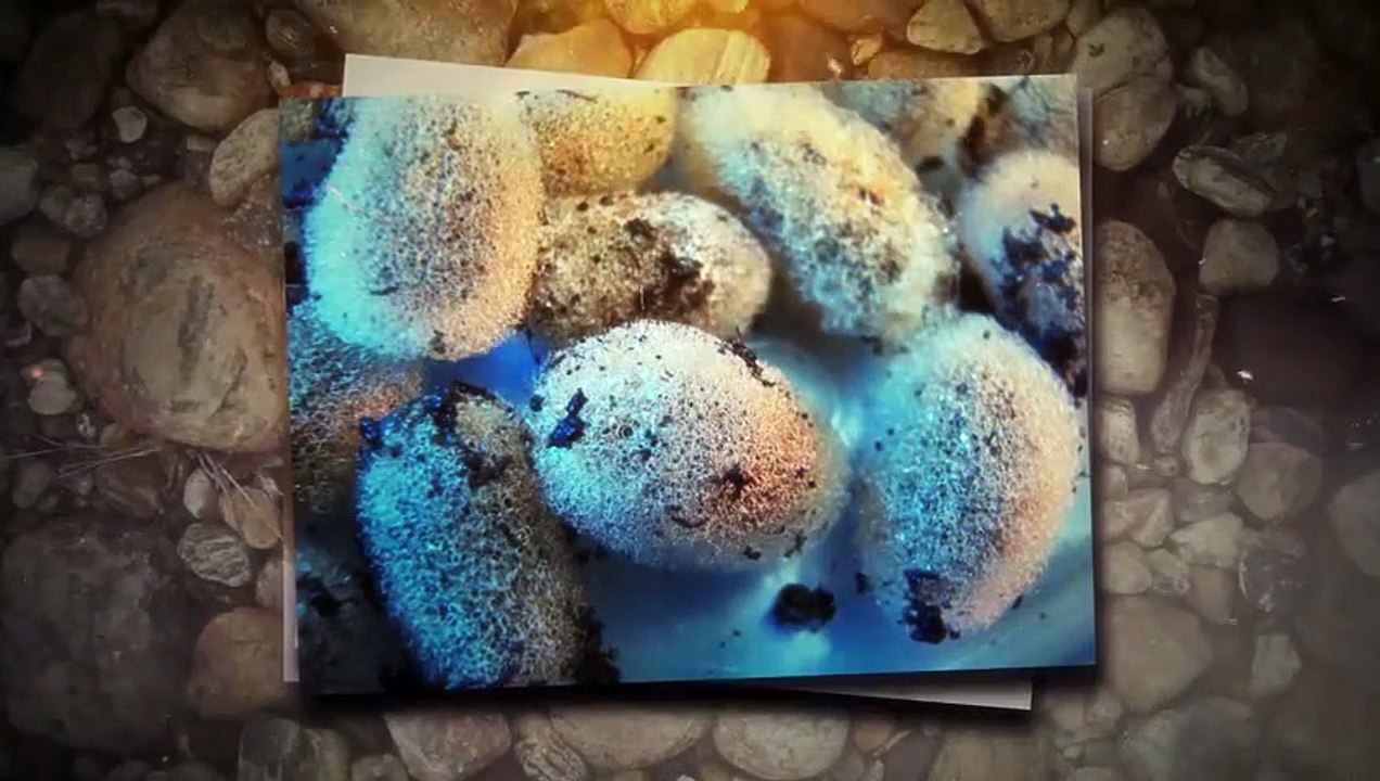 Die 10 mysteriösesten Funde, die niemand erklären kann