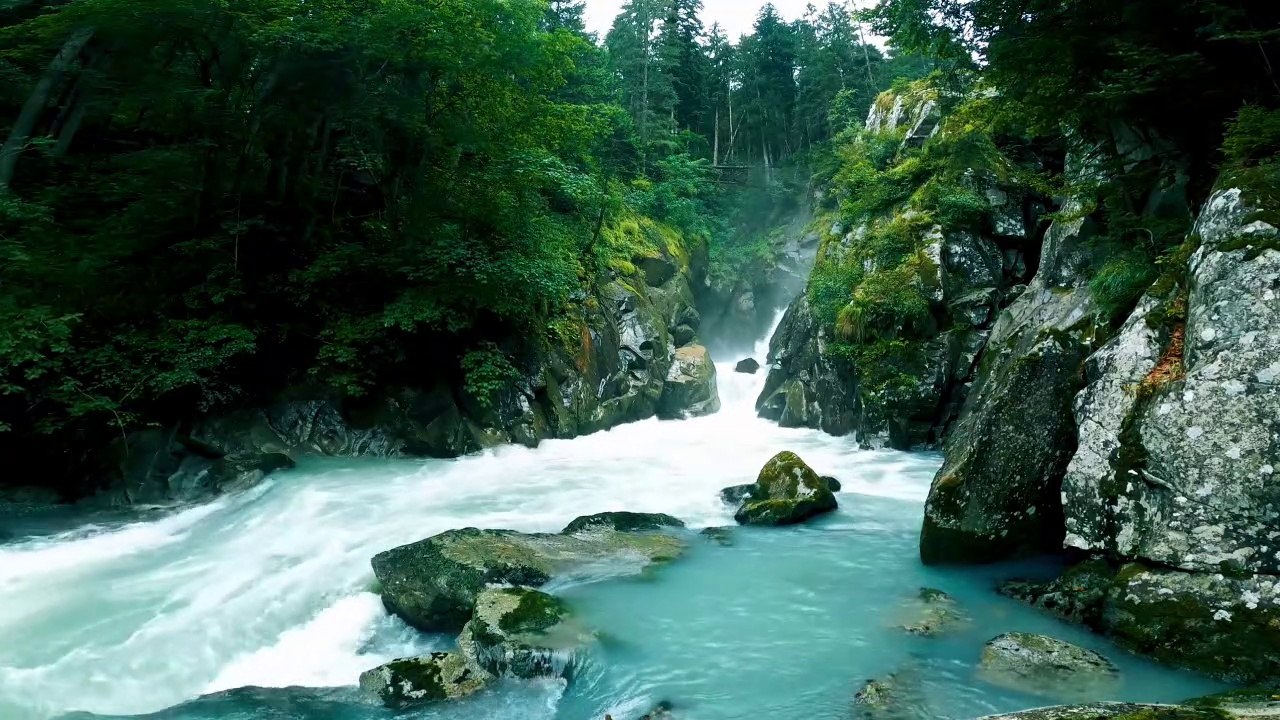 Nature Short - 15