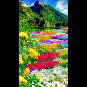 Top 50 beautifull nature ❤️ pics video A.s chanal