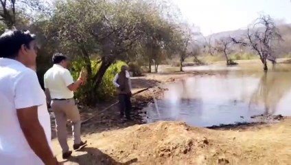 वन्यजीवों को अब गांवों की ओर नहीं करना पड़ेगा पलायन,,,,,,देखें वीडियो