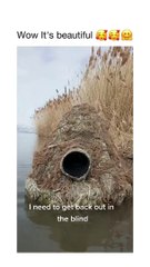 Animals .allah ki shan