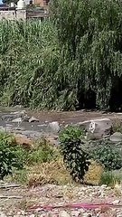 Localizan un cadáver a la orilla del río San Juan de Dios
