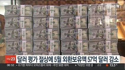달러 평가 절상에 5월 외환보유액 57억 달러 감소