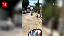 Un sujeto arrastró a su perrita por metros mientras éste conducía su motocicleta