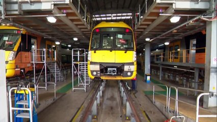 Sydney commuters face 'year of pain' with rail maintenance work