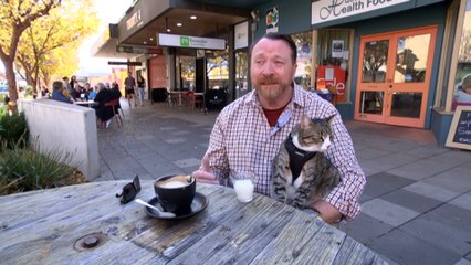 Ex-border force officer raising awareness of benefits of assistance animals