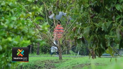 tn7-este-lunes-se-esperan-precipitaciones-040623