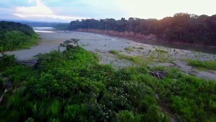 مرعب.. عندما يجوع القرش الأبيض لا يعرف الرحمة - قوته ستصيبك بالذهول!