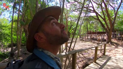 DON'T WAKE the WOMBAT!