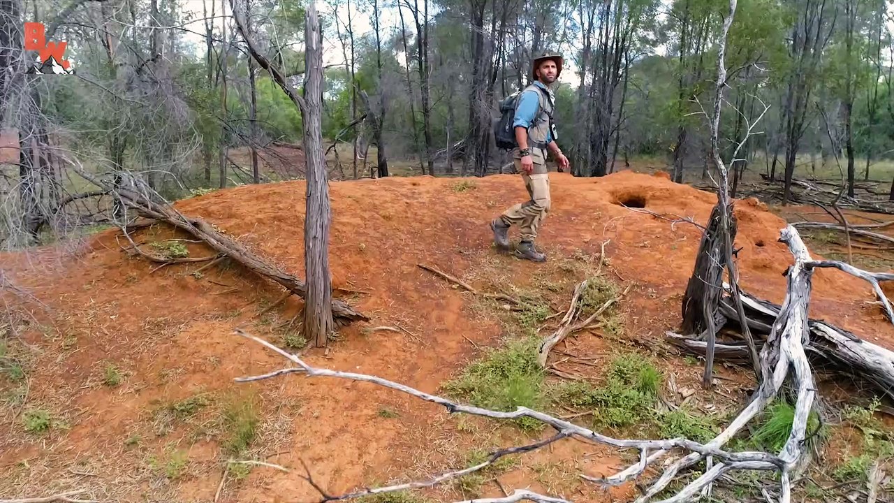 Did I just catch a DINOSAUR!