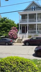 Groundhog Sits Outside Home