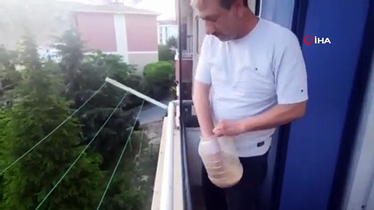 Arrêté d'utiliser le balcon où niche le pigeon