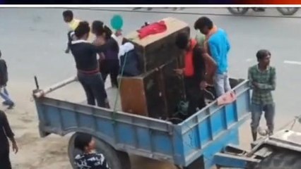 सिवान: DJ पर मनपसंद गाना बजाने को लेकर विवाद, खूब चले लाठी-डंडे