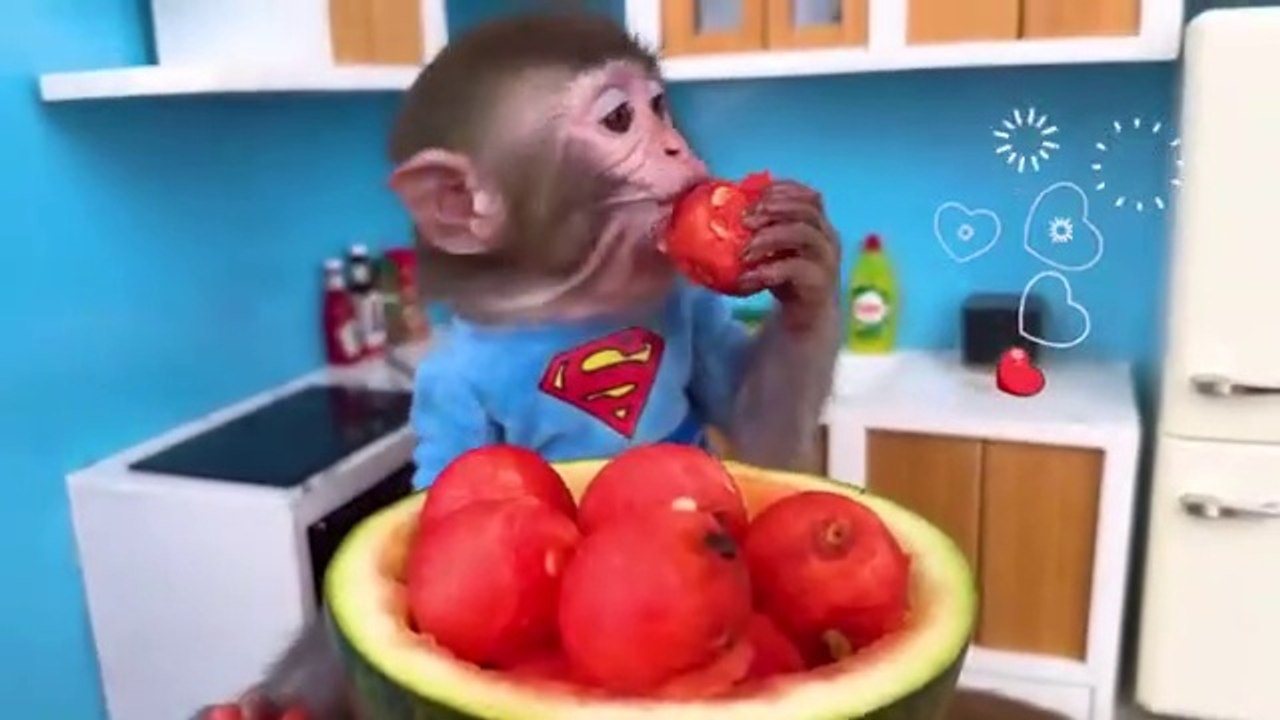 Monkey_Baby_Bon_Bon_Bathing_In_The_Bathroom_With_Eating_Watermelon_With_Ducklings_Side_Swimming_Pool(360p)