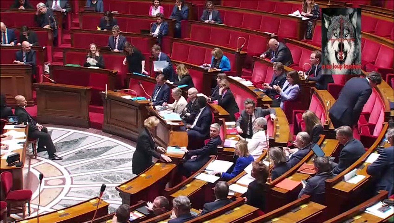 Loup Question Au Gouvernement