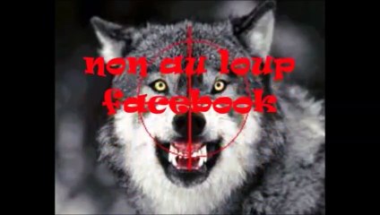 les assises de la prédation se déroulent ce jeudi et ce vendredi à Chorges