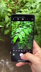 Satisfying Xiaomi 12S Ultra