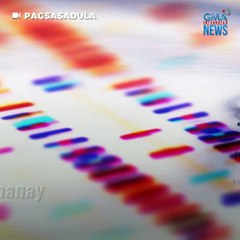 Sanggol, ipinanganak na tatlo ang magulang | GMA News Feed