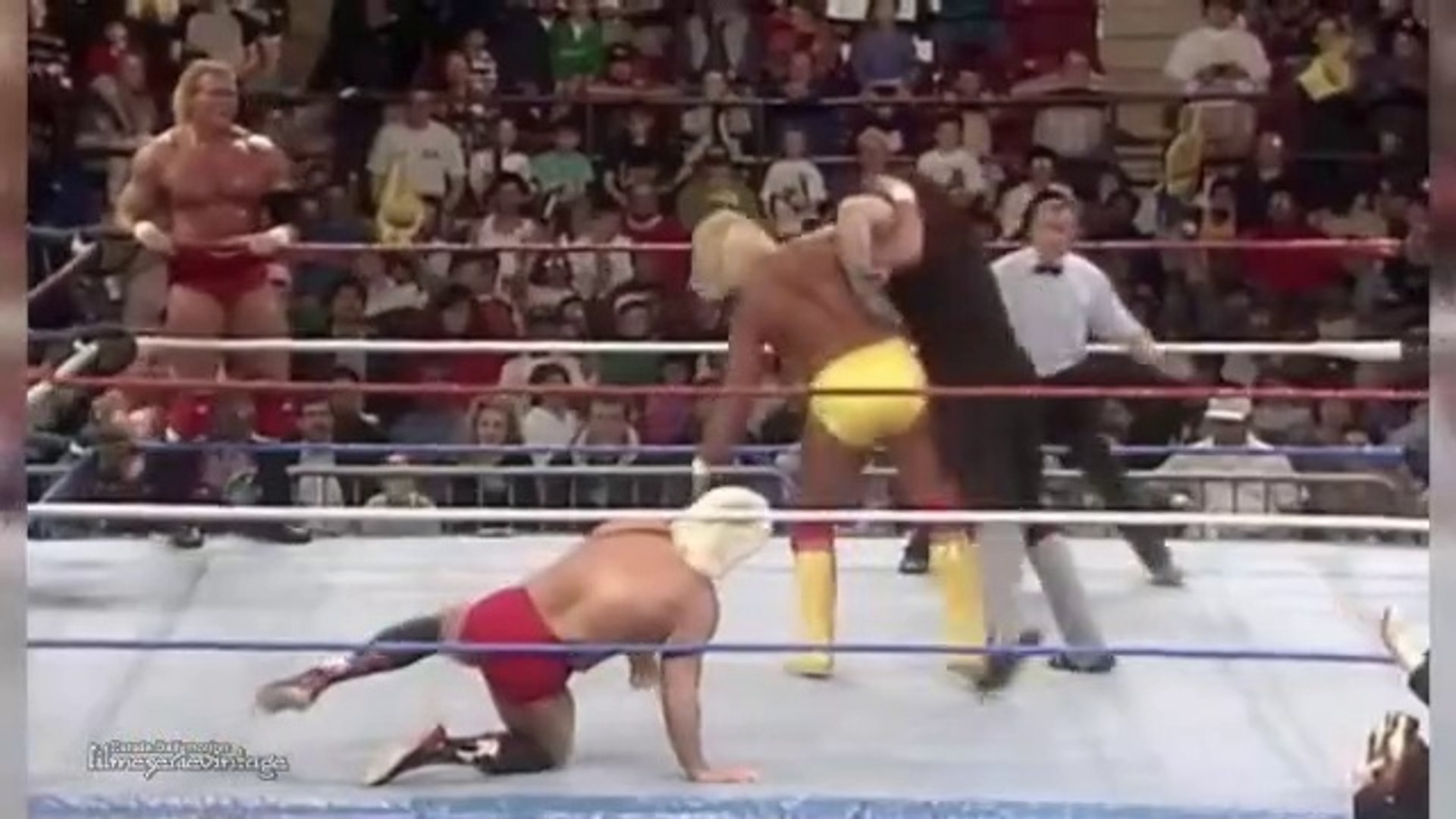 Hulk Hogan and Sid Justice VS Nature Boy Ric Flair and The Undertaker FULL  MATCH in FULL HD - Video Dailymotion