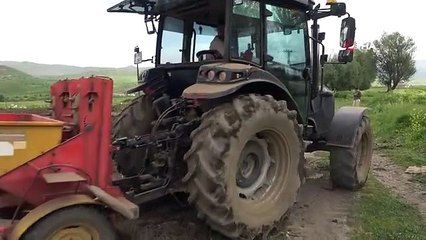 Cilo Dağı eteklerinde kapya biber ve domates üretimi