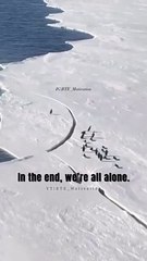 A.L.O.N.E ---- _Double Tap if you enjoy the content and pl do share with your friends--_._._Follow us _bte_motivation_Follow us _bte_motivation_Follow us _bte_motivation_._._No ©copyright infringement intended_Contact us for credits_fix_(Vid