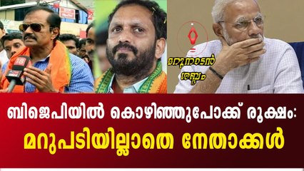 ബിജെപി സംസ്ഥാന നേതൃത്വത്തെ പഴിച്ച് പ്രവർത്തകരും: ചരിത്രമാകുമോ ബിജെപി?