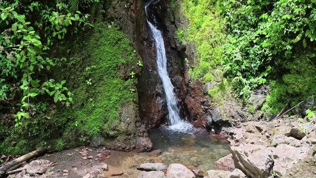Serenity Stream: 10 Hours of Gentle Water Stream Sounds