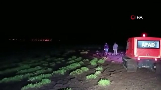 Une vache coincée dans un marais a été secourue par les équipes de l'AFAD