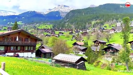 Most beautiful village In Switzerland  Dandelion Flowers _360p