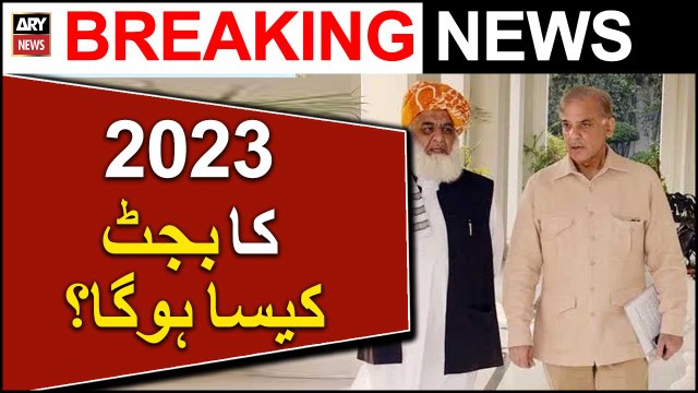 PM Shehbaz Sharif, Fazlur Rehman discuss political issues