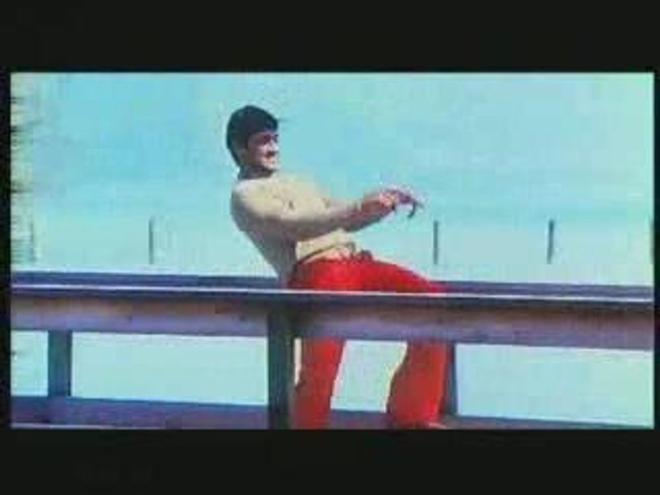 Gajini_suttum vilhi