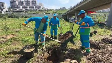 Başakşehir Belediyesi Bahçeşehir'de Fidan Üretim Merkezi'ni Açtı