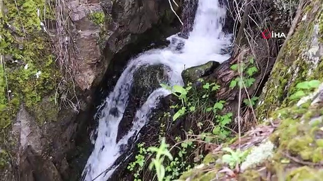 Karnavas Şelalesi'nden görsel şölen