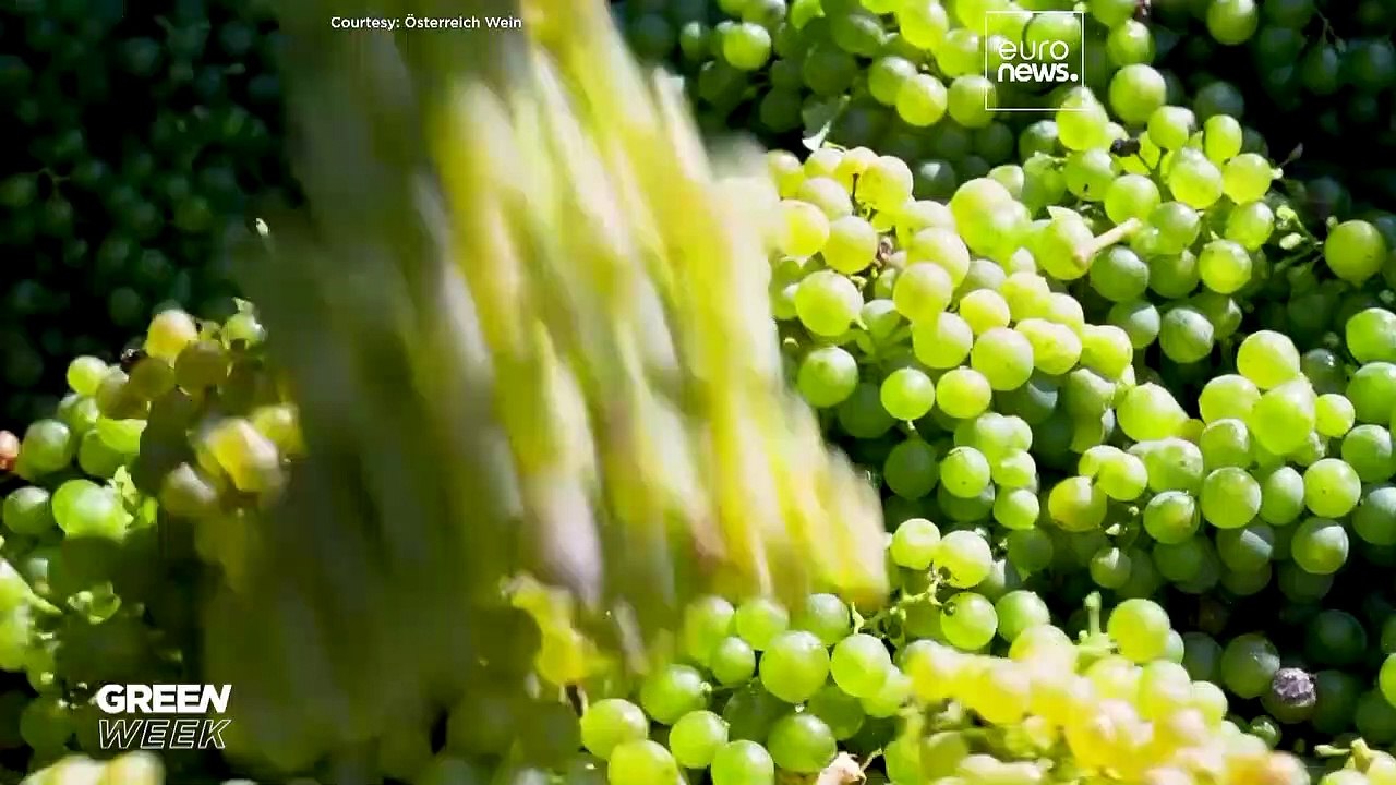 Green Week: Η κλιματική αλλαγή οδηγεί σε αλλαγή...
