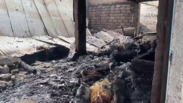 Köyde çıkan yangında 13 büyükbaş telef oldu