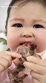 Baby Eating Meet | Hungary Babies | Baby Funny Moments | Cute Babies | Naughty Babies #cutebabies