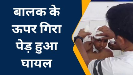 इटाव की तेज आंधी से बारह वर्षीय बच्चे पर गिरा पेड़, फिर देखिए आगे हुआ क्या