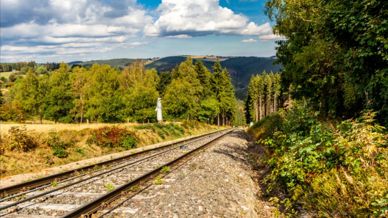 Betrunkener Baumfäller legt Zugverkehr lahm
