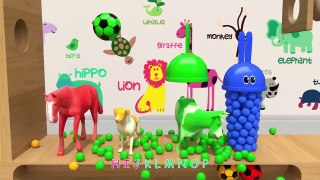 Finger Family Song Learn Colors Bunny Mold and Microwave Toy Squishy Ball Nursery Rhymes for Kids