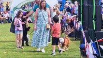 WATCH: Dog shows, live music and lots of attractions and other activities at Lindfield village day