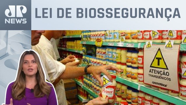 Kellen Severo: Liberação de transgênicos é pauta no Supremo; cientista político repercute