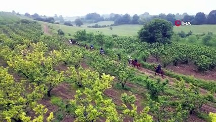 La route Evliya Çelebi a été redécouverte avec des chevaux après 350 ans