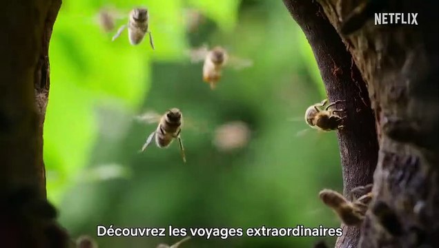 Notre planète - saison 2 Bande-annonce VO
