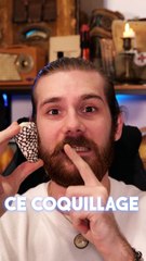 Le coquillage qui peut te tuer en 5 min
