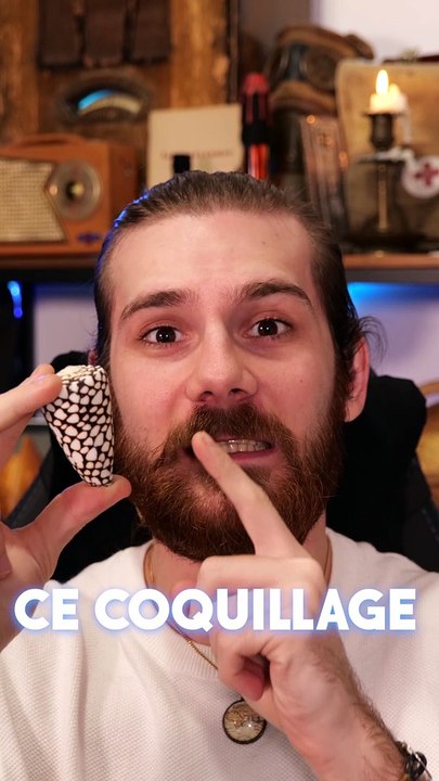 Le coquillage qui peut te tuer en 5 min