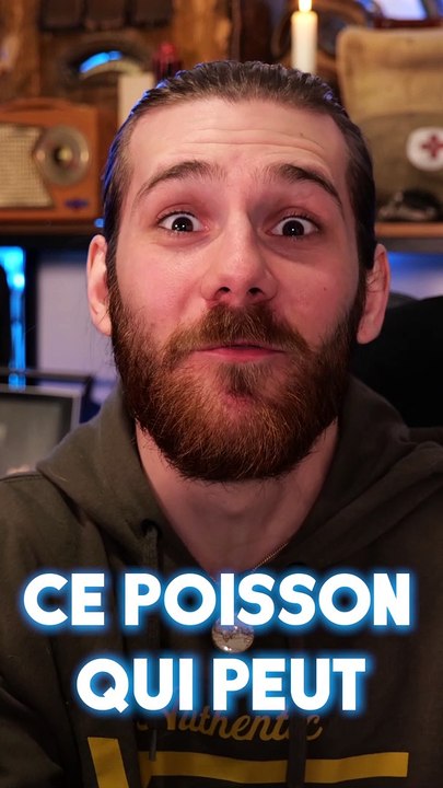 Ce poisson qui peut vivre dans ton mur pendant 4 ans !
