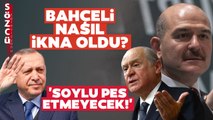 İşte Erdoğan'ın Süleyman Soylu'yu Kabine Dışı Bırakma Sebepleri! 'Pes Etmeyecek...'