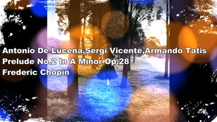 Antonio De Lucena, Sergi Vicente, Armando Tatis - Prelude No. 2 In A minor Op. 28 (Frederic Chopin)